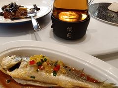 -樱苑(四川北路店)