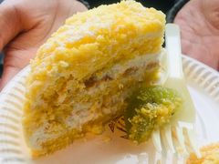 -COVA(上海K11艺术中心店)