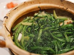 -煲煲好(朝阳门店)