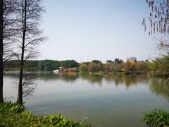 -海珠湖公园