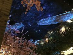 -桂满隴·站立的杭州(无锡八佰伴店)