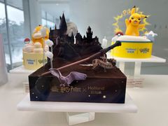 -罗红摄影艺术馆