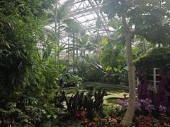 -北京植物园-展览温室