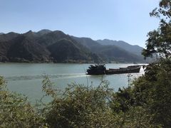 -羚羊峡古栈道森林公园