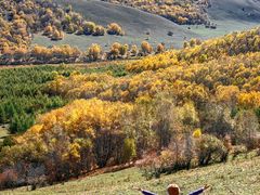 -塞罕坝国家级自然保护区