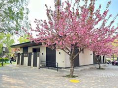 -唐城墙遗址公园