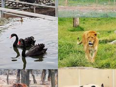 -西安秦岭野生动物园