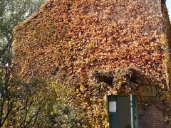 -沈阳职业技术学院