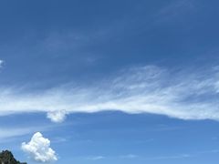 -朱雀国家森林公园