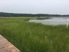 -御道口草原森林风景区