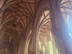 -斯蒂芬主教座堂(Stephansdom)
