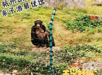 杭州市动物园真的是性价比超级高的周末游好去处 
