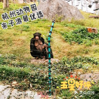 杭州市动物园真的是性价比超级高的周末游好去处