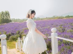-北京东方普罗旺斯薰衣草庄园