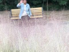 -苏州河梦清园环保主题公园