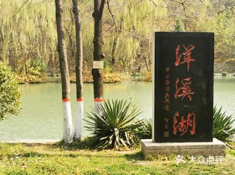游泳的鸳鸯，戏水的鸭子，湖边拍照的小哥，相映成趣