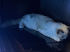 -零纪元VR体验馆·桌游(黄浦店)