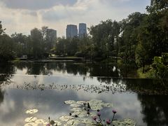 -云溪植物园