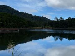 -海南热带雨林国家公园吊罗山景区