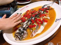 -丹江渔村(望京店)