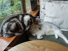 -咖法森林·咖啡  酒吧(天河店)