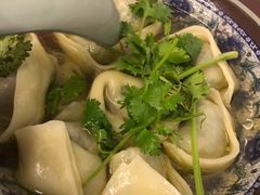 -九斤黄三黄鸡专卖店