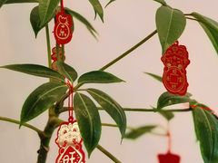 -Beans Solo豆号咖啡(百家湖花园店)