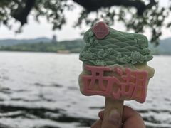 -西湖游船