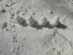 -金鼎雪山牦牛杂火锅(理县总店)