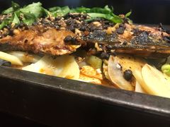 -晓鲜熊猫烤鱼烤吧(西三旗百汇北门店)