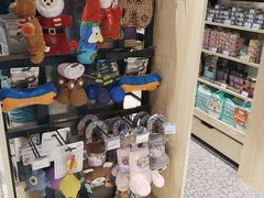 -momokira米努特·德文卷毛猫·棉花面纱犬
