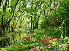 -上海共青森林公园