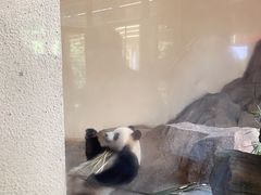 -宁波野生动物园