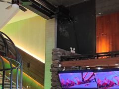 -三强鸽子(中原路店)