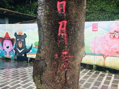 -金盆阿嬷香菇茶叶蛋(玄光店)