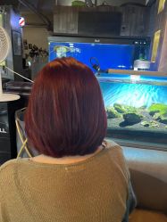 -青木造型HAIR·あおき髪を刈る潮人店