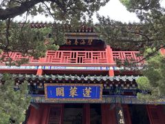 -蓬莱阁景区