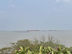 -上海吴淞炮台湾国家湿地公园