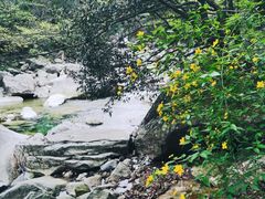 -罗田天堂寨风景区