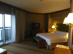 -新加坡瑞士史丹福酒店