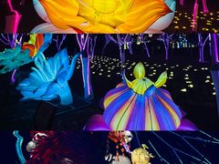 -淄博花灯齐彩城