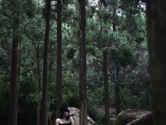 -玉苍山国家森林公园