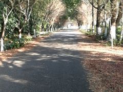 -九龙潭景区