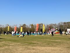 -上海海湾国家森林公园