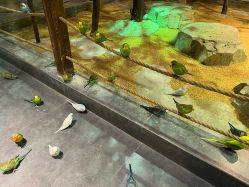 -酷嗒动物文化乐园(cutezoo西溪乐天城店)