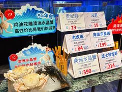 -南海渔村(珠江新城店)