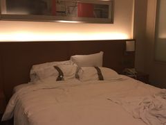 -上海浦东康桥绿地假日酒店