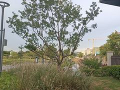 -红花山公园