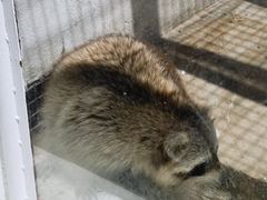 -金庭庄园酒店-停车场