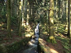 -庐山风景区花径公园